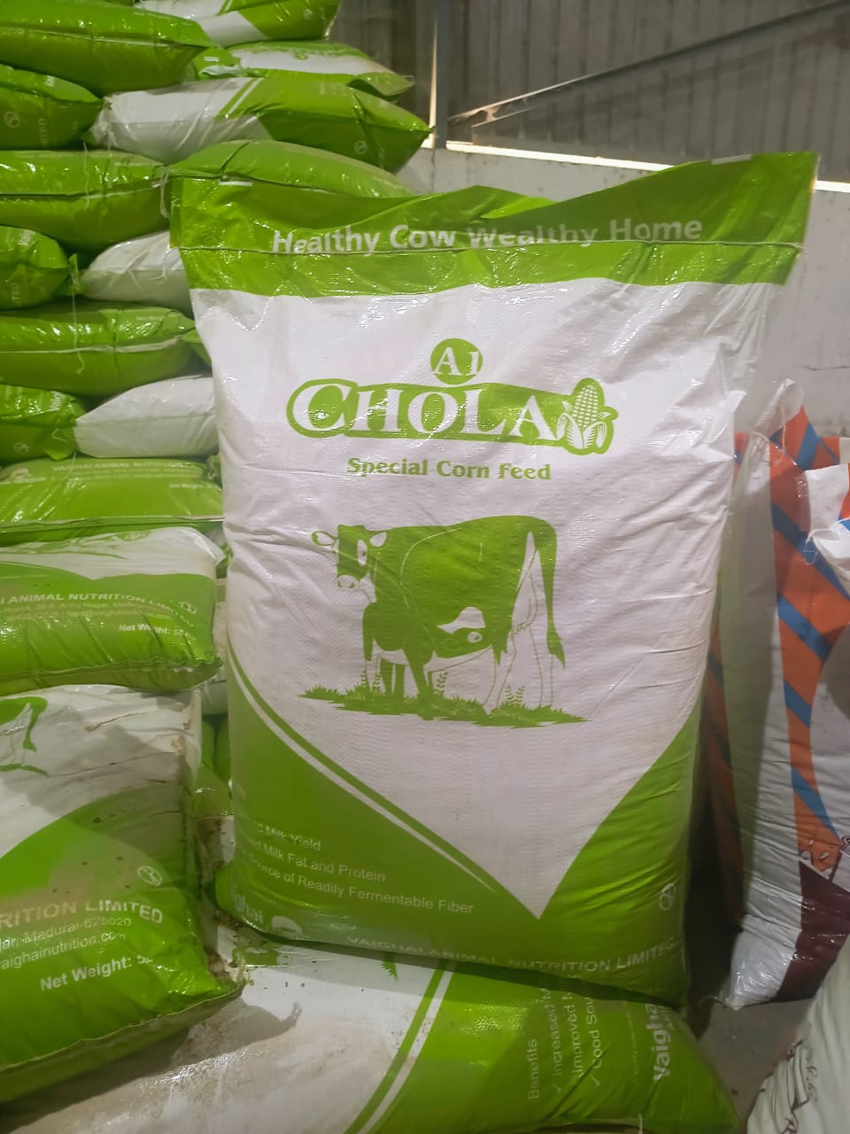 CHOLA SPECIAL CORN FEED