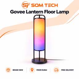 Govee Lantern Floor Lamp