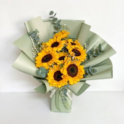 Doce Girasoles