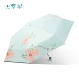 Umbrella