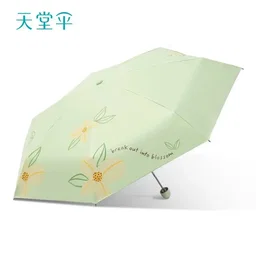 Umbrella