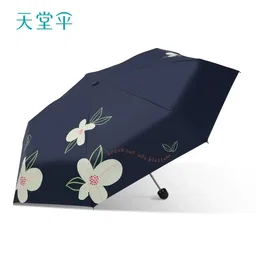 Umbrella
