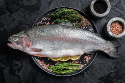 TROUT FISH