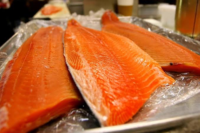 TROUT FISH_5