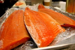 TROUT FISH