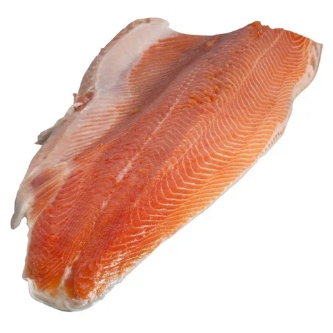 TROUT FISH_6