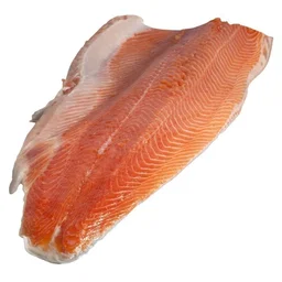 TROUT FISH