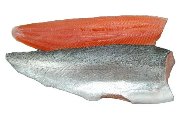 TROUT FISH_8