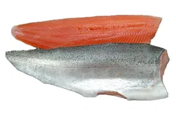 TROUT FISH