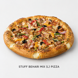 STUFF BEHARI MIX (L) PIZZA