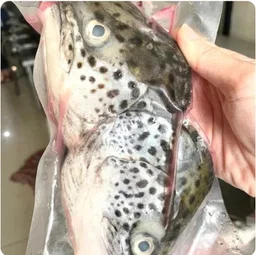 Buy 2  Kepala Salmon FREE  1 Kepala Salmon 