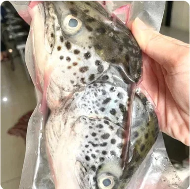 Buy 2 Kepala Salmon FREE 1 Kepala Salmon
