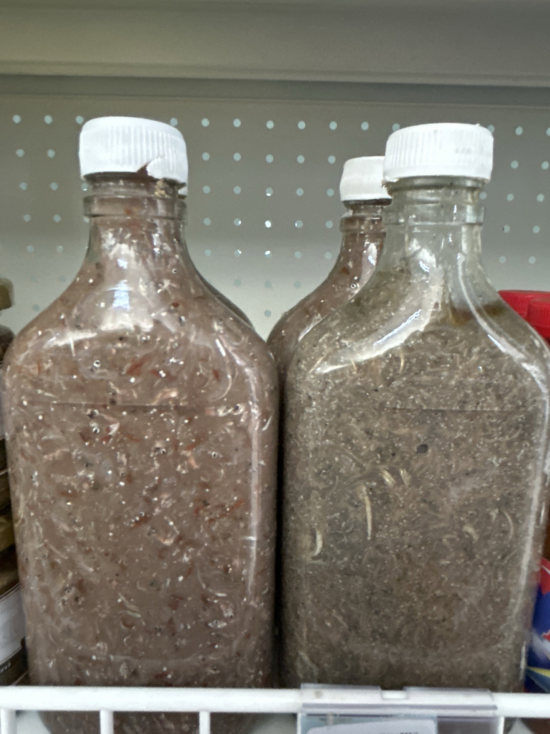 Ginamos bottle tiny