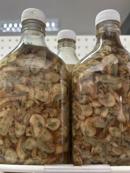 Tagimtim 350ml