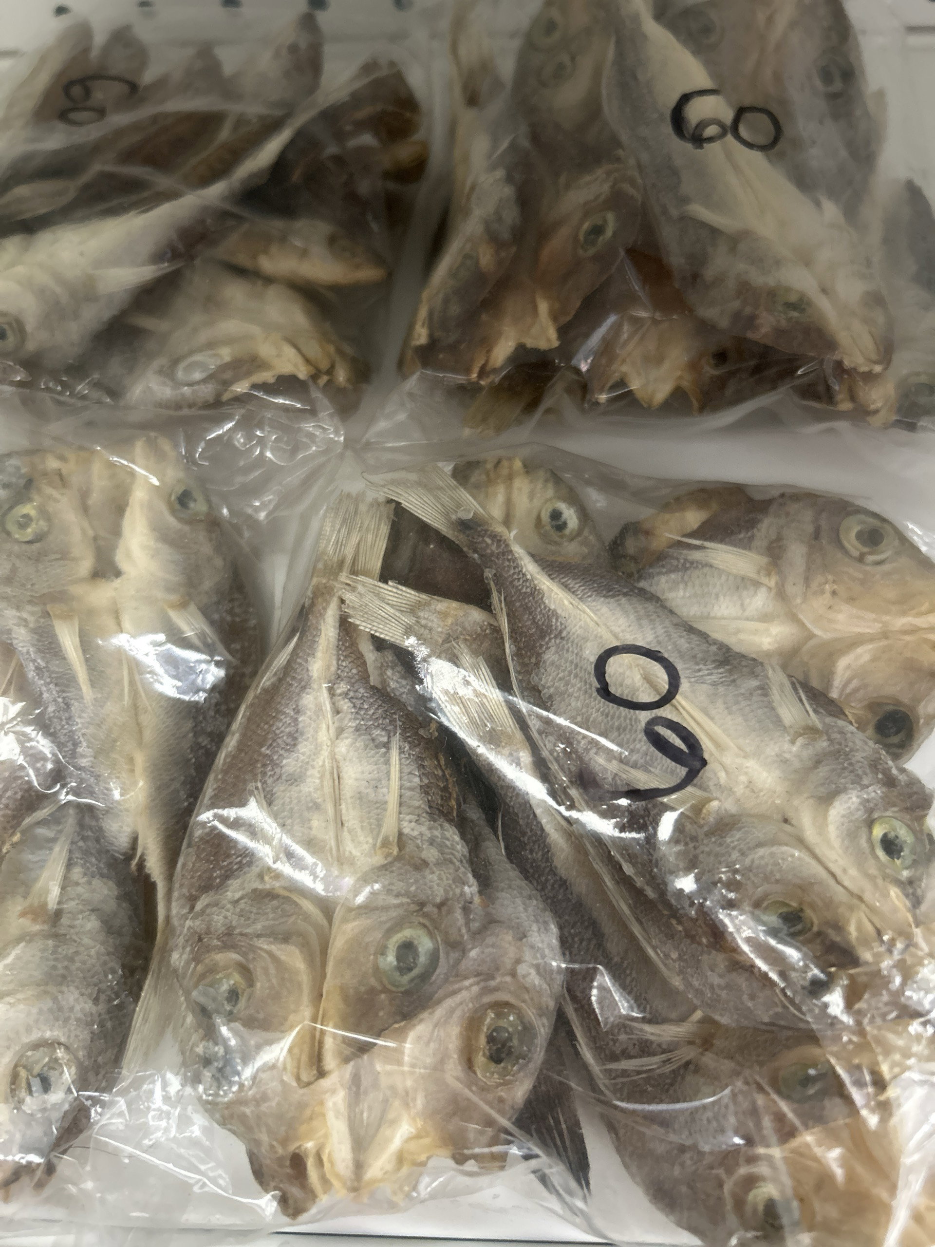 Dried fish pack