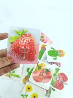 Printed Self-Adhesive Wall Hooks (Fruit & Floral Design)