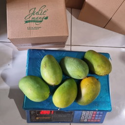 Mangga Matang Pohon Berat 2Kg
