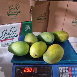 Mangga Matang Pohon Berat 2Kg