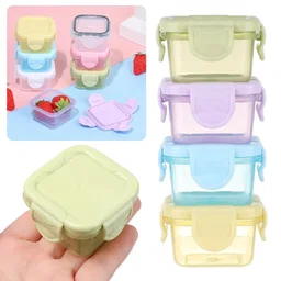 Mini Lunch Box (1pcs)
