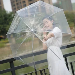 Transparent Umbrella (Big)