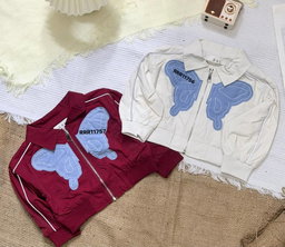 GIRLS JACKET 2-6 Y