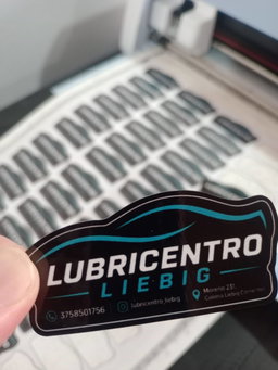 Sticker en Vinilo personalizado (resistente al agua) plancha A3