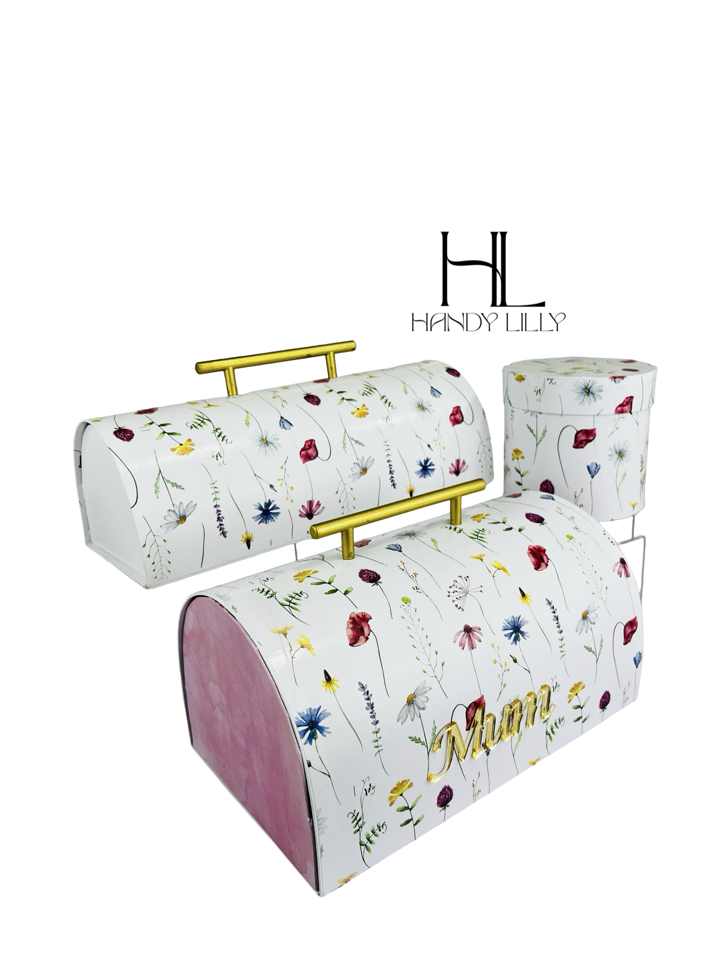 Oval Box with handle_4