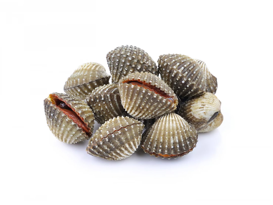 Kerang (400g)