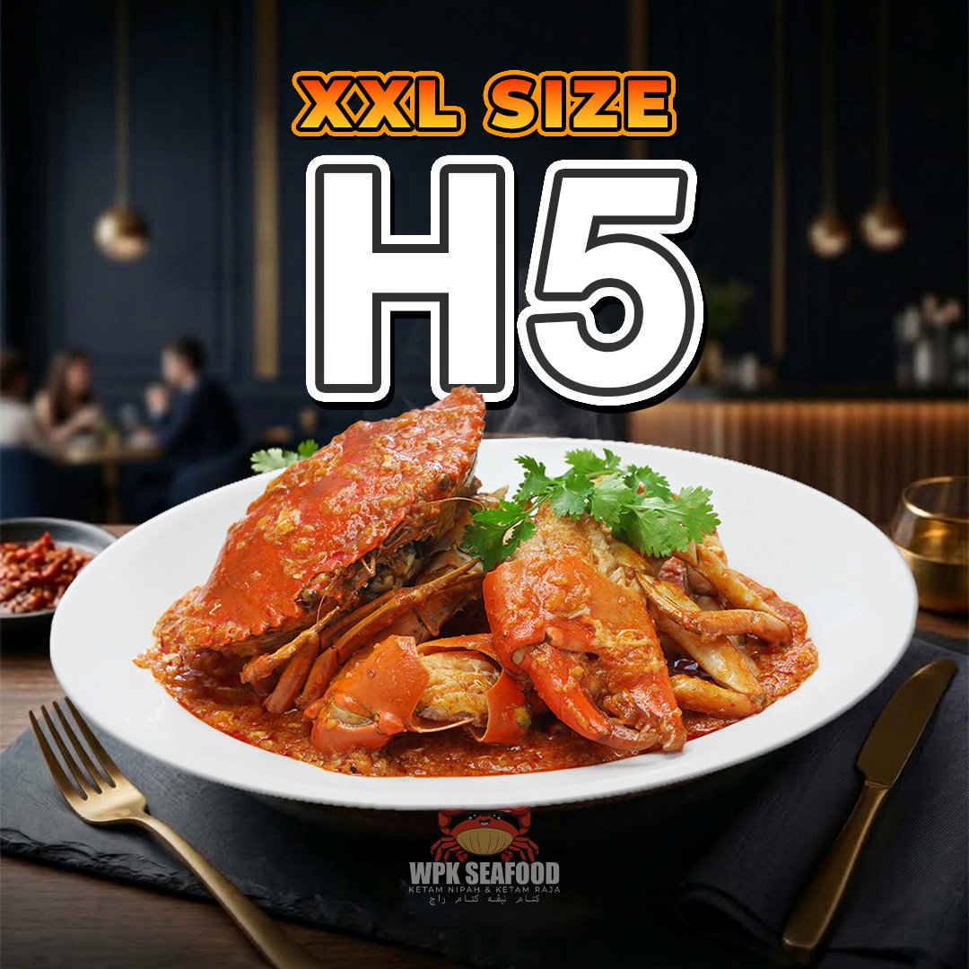 XXL (H5)