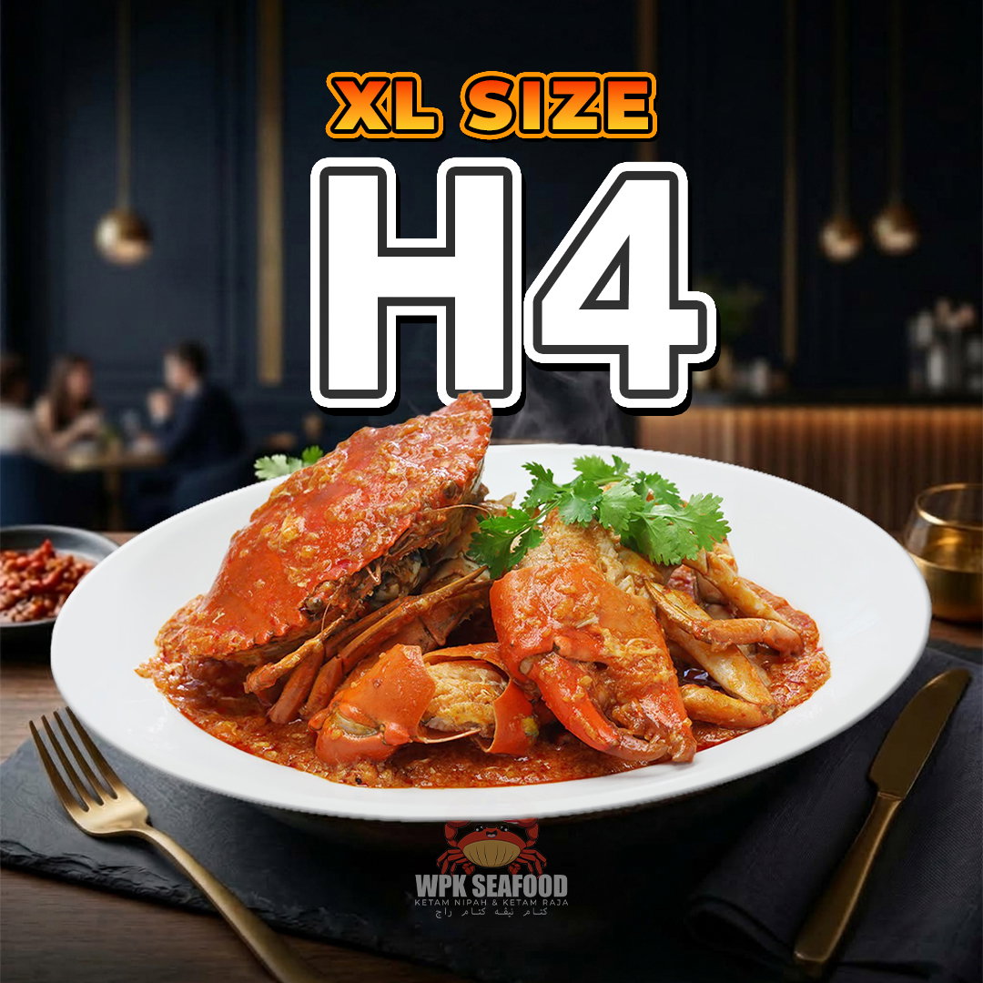 XL (H4)