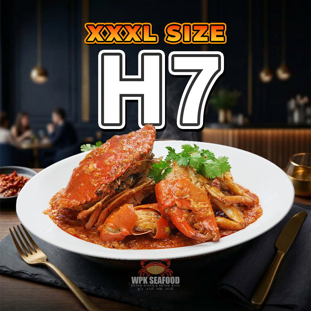 XXXL (H7)