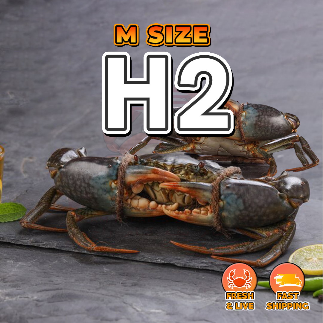 M (H2) Fresh