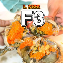 Betina L (F3) Fresh