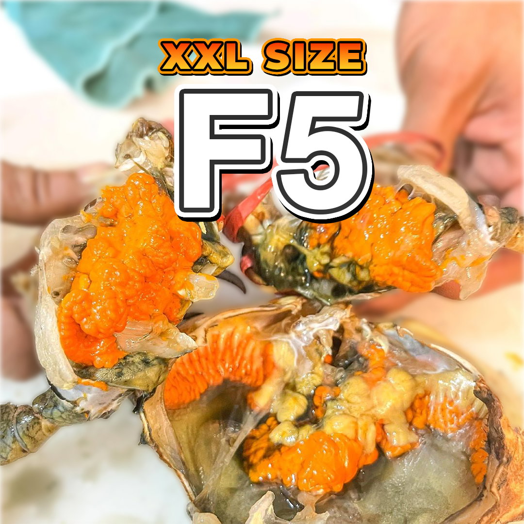 Betina XXL (F5) Fresh