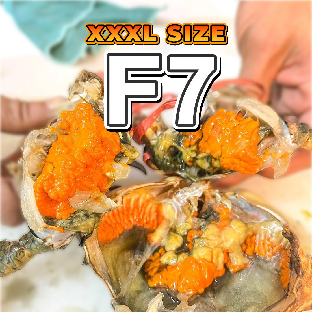 Betina XXXL (F7) Fresh_0
