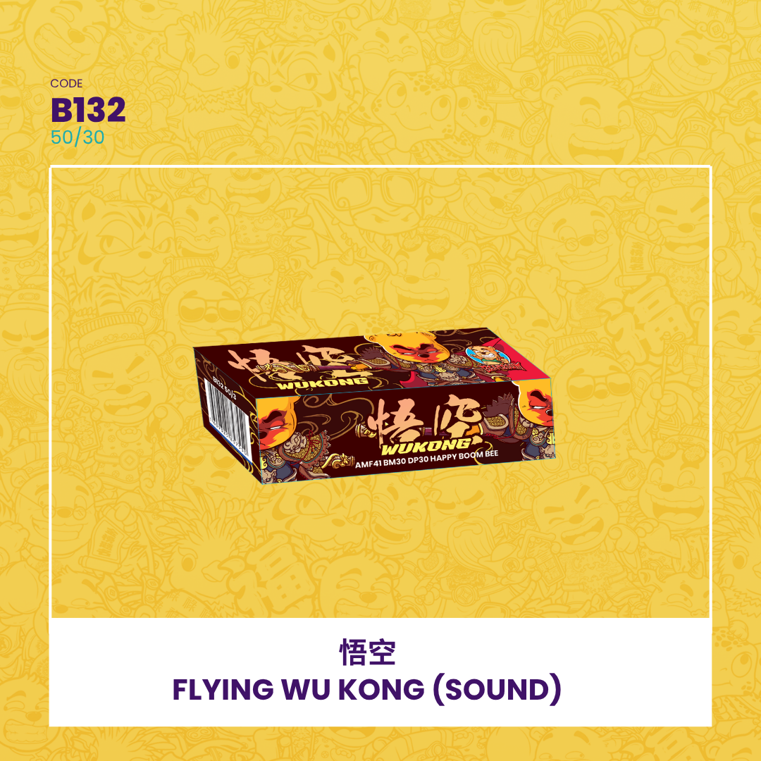 B132 | ✈️FLYING WUKONG (SOUND) 悟空