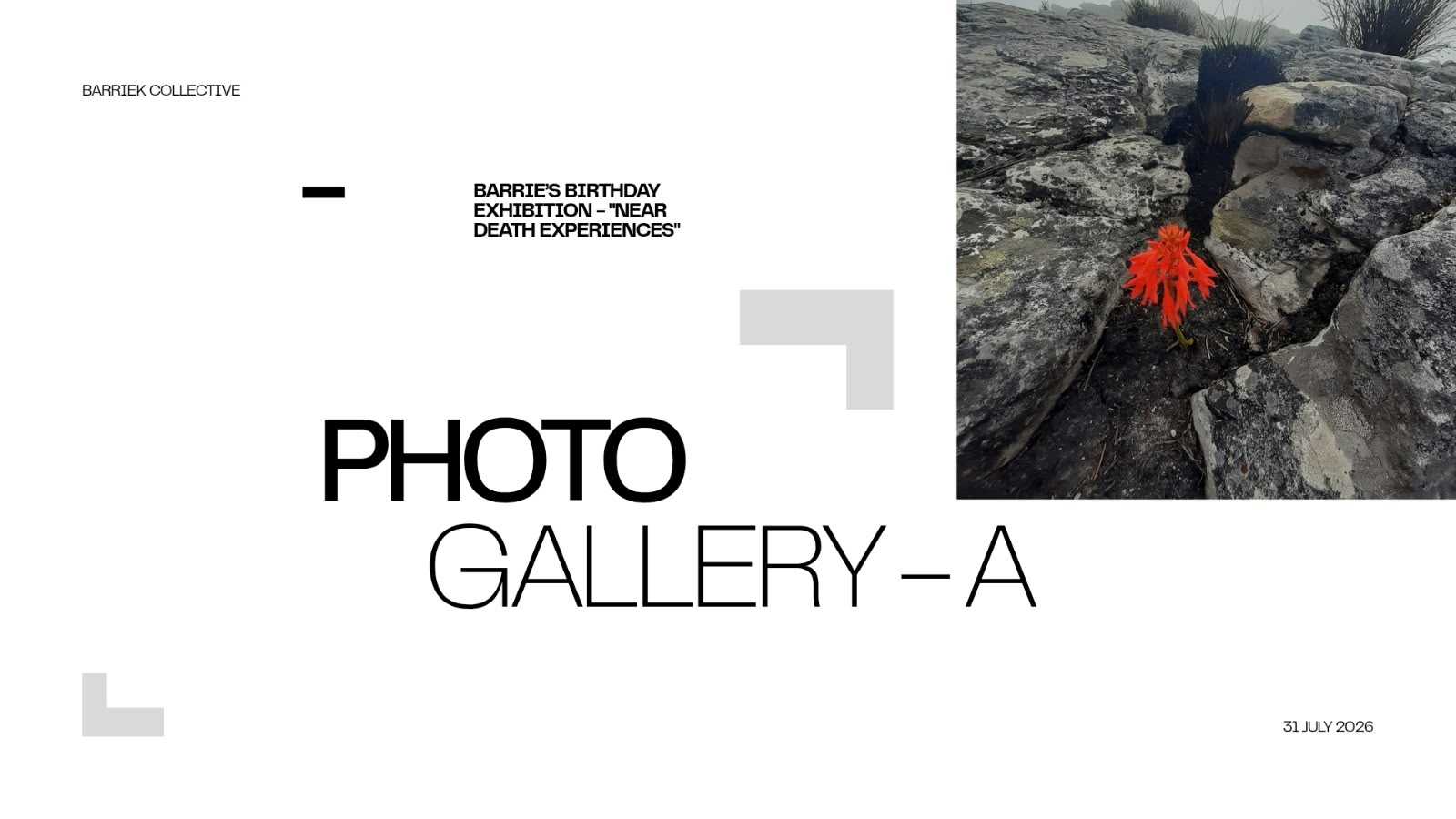 Barriek Collective Online Gallery_1