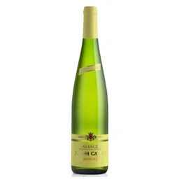 AOC Alsace Muscat – Maison Cattin