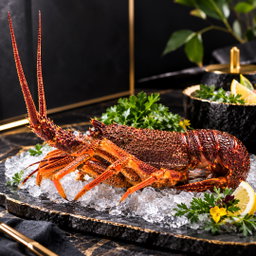 Afrika Rock Lobster