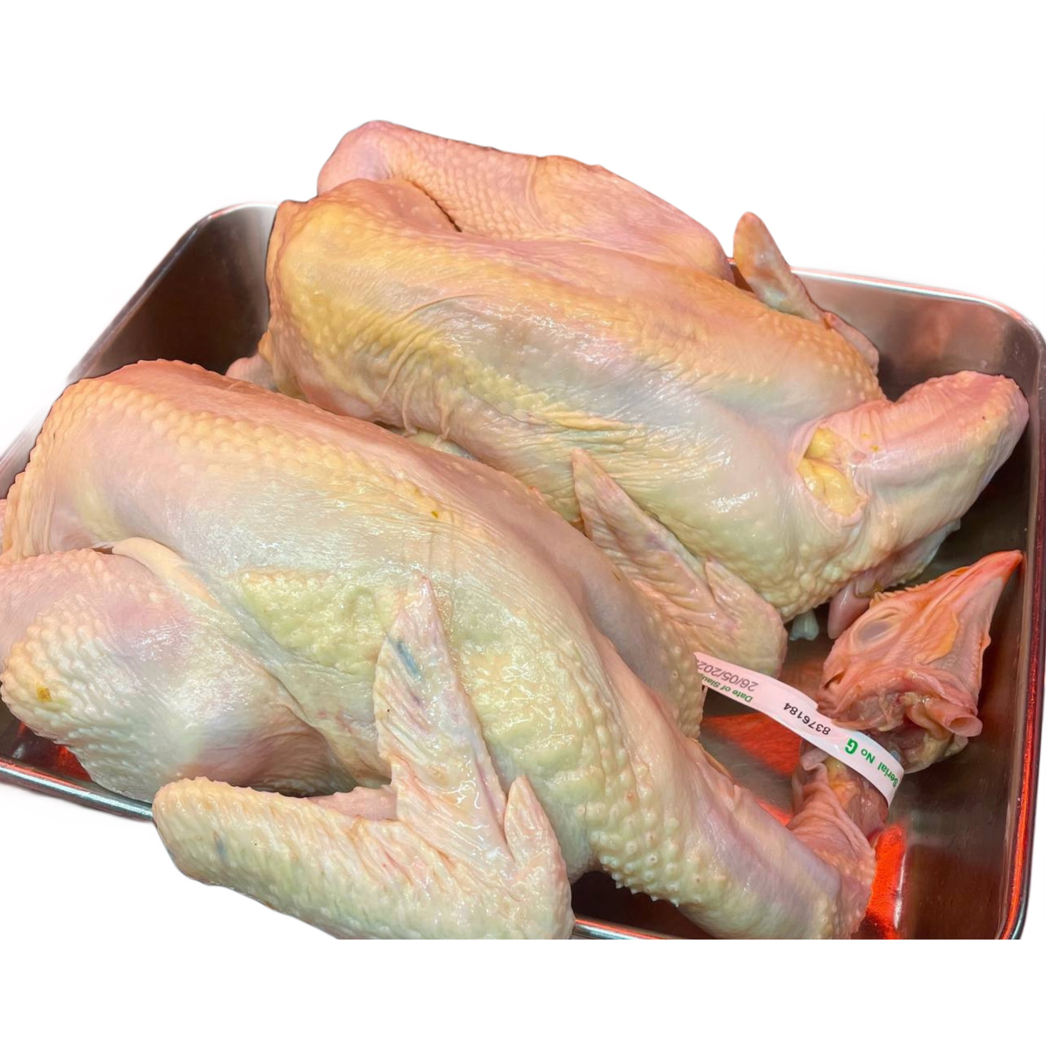 Fresh Whole Kampung Chicken 1.2-1.4kg_0