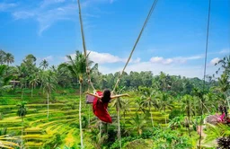Ubud Tours