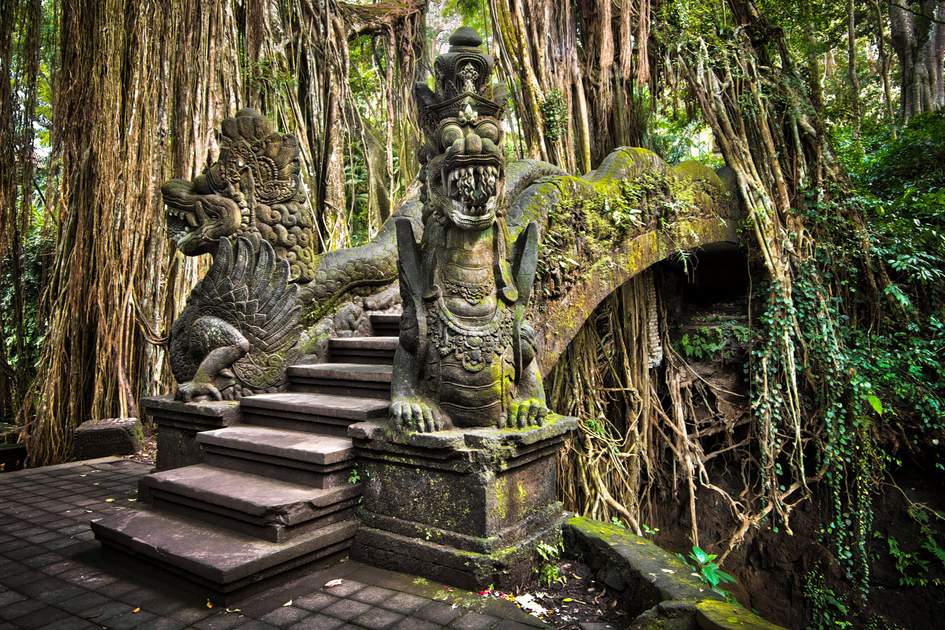 Ubud Tours_4