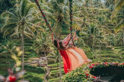Ubud Tours