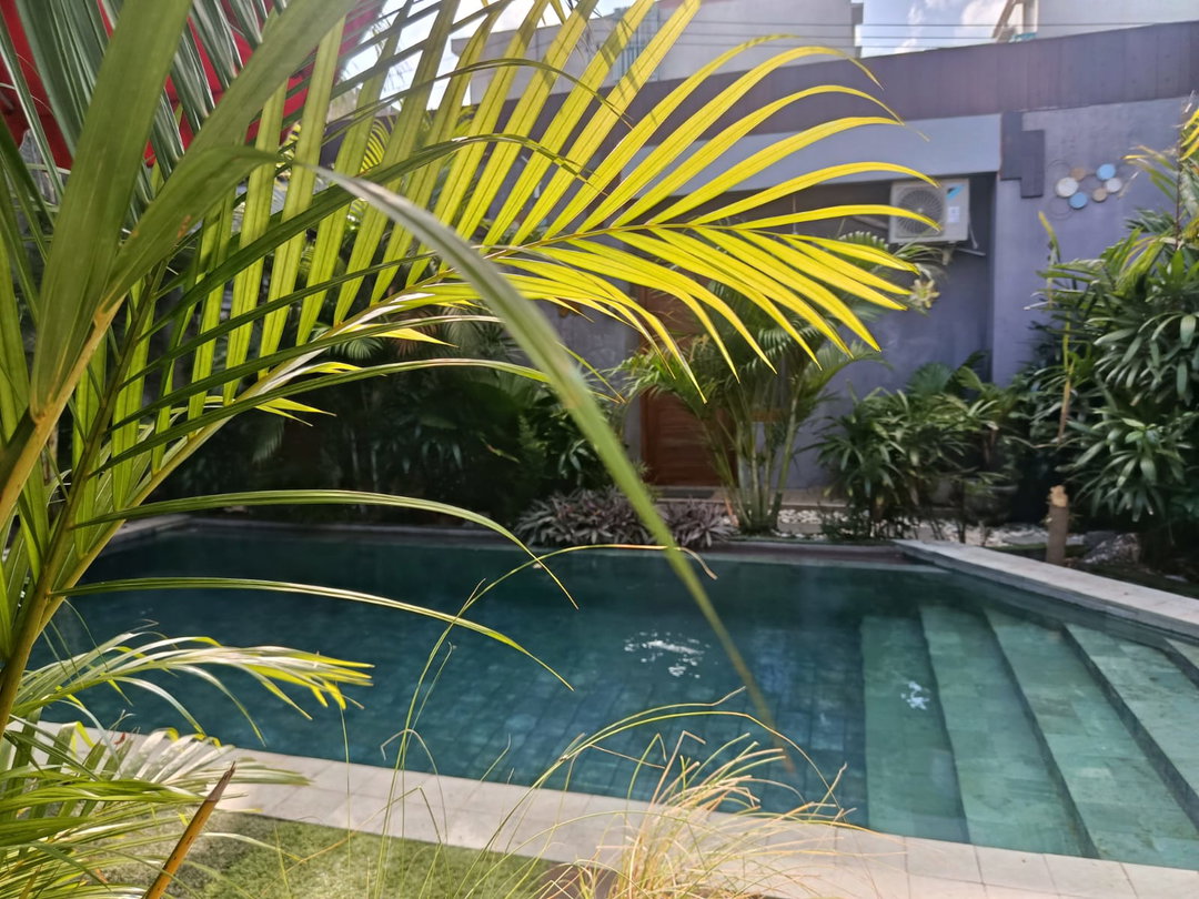 Hotel Rental