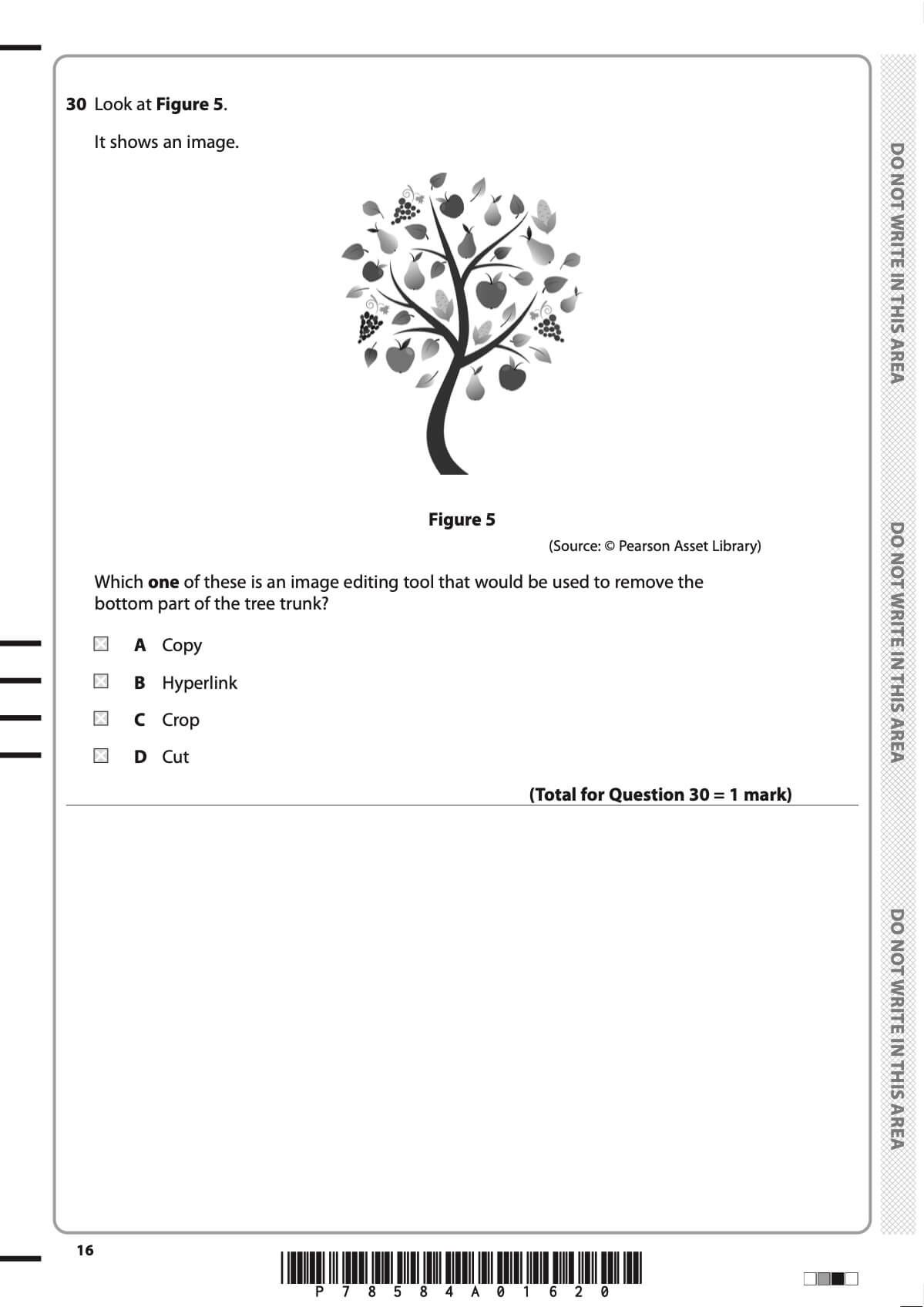 ICT | iPrimary 6 Computing Pearson Edexcel Exam Past Papers_2