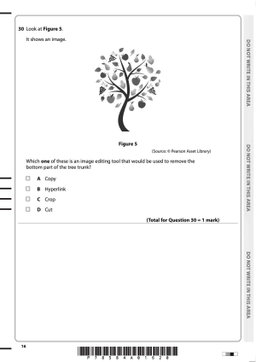 ICT | iPrimary 6 Computing Pearson Edexcel Exam Past Papers