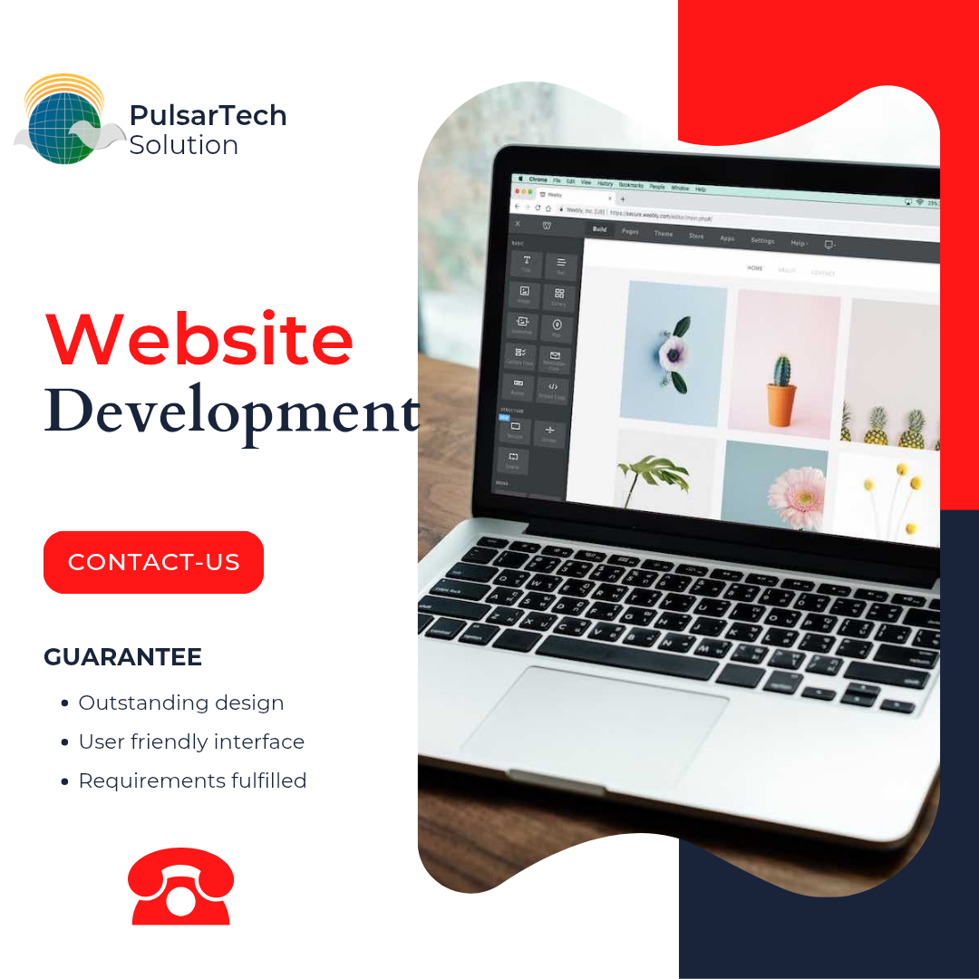 Website Development_0