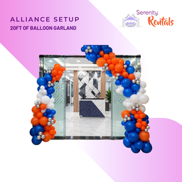 Alliance Setup (Corporate)