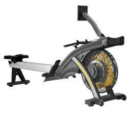 Gym & Fitness