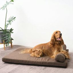 Pharoe Copper Gel Cooling Memory Foam Mattress